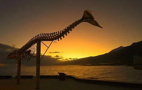 Mar Y Montana 아파트 로스실로스